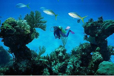 《漫威蜘蛛侠：迈尔斯》游戏总时长超过一万一千年